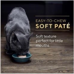 Sheba Perfect Portions Kitten Chicken Pate Wet Cat Food -Meow Meals 752934 PT7. AC SS1800 V1672851238