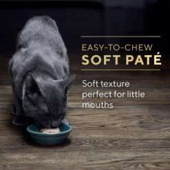 Sheba Perfect Portions Kitten Variety Pack Chicken Pate & Pate Salmon Wet Cat Food -Meow Meals 752950 PT8. AC SS1800 V1672843191
