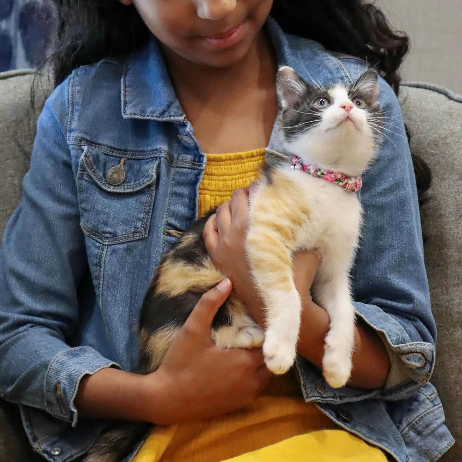 Li'l Pals Round Kitten Collar 5 Li'l Pals Round Kitten Collar - Image 3