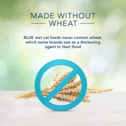 Blue Buffalo Freedom Indoor Adult Fish Recipe Grain-Free Canned Cat Food 12 Blue Buffalo Freedom Indoor Adult Fish Recipe Grain-Free Canned Cat Food -Meow Meals 75598 PT4. AC SS1800 V1585083408