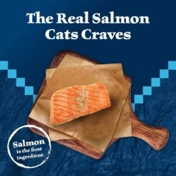 Blue Buffalo Wilderness Kitten Salmon Grain-Free Canned Cat Food -Meow Meals 75637 PT2. AC SS1800 V1646779588