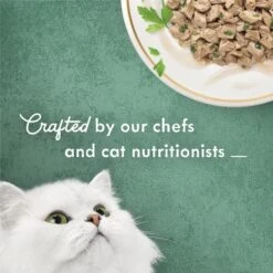Fancy Feast Medleys White Meat Chicken Florentine Canned Cat Food -Meow Meals 75888 PT3. AC SS1800 V1669909285