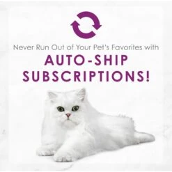 Fancy Feast Medleys White Meat Chicken Florentine Canned Cat Food -Meow Meals 75888 PT8. AC SS1800 V1659907879