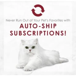 Fancy Feast Medleys Shredded Wild Salmon Fare Canned Cat Food -Meow Meals 75910 PT8. AC SS1800 V1649121986