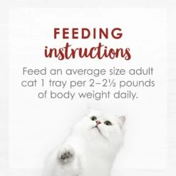 Fancy Feast Purely Flaked Skipjack Tuna Wet Cat Food 18 Fancy Feast Purely Flaked Skipjack Tuna Wet Cat Food -Meow Meals 75935 PT7. AC SS1800 V1568640729