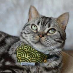 Necoichi Bandana Cat Collar With Air Tag Pocket, One Size -Meow Meals 759454 PT4. AC SS1800 V1682709757