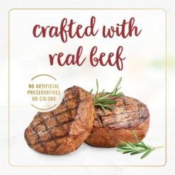 Fancy Feast Gravy Lovers Beef Feast Gravy Canned Cat Food 15 Fancy Feast Gravy Lovers Beef Feast Gravy Canned Cat Food -Meow Meals 75962 PT4. AC SS1800 V1695494776