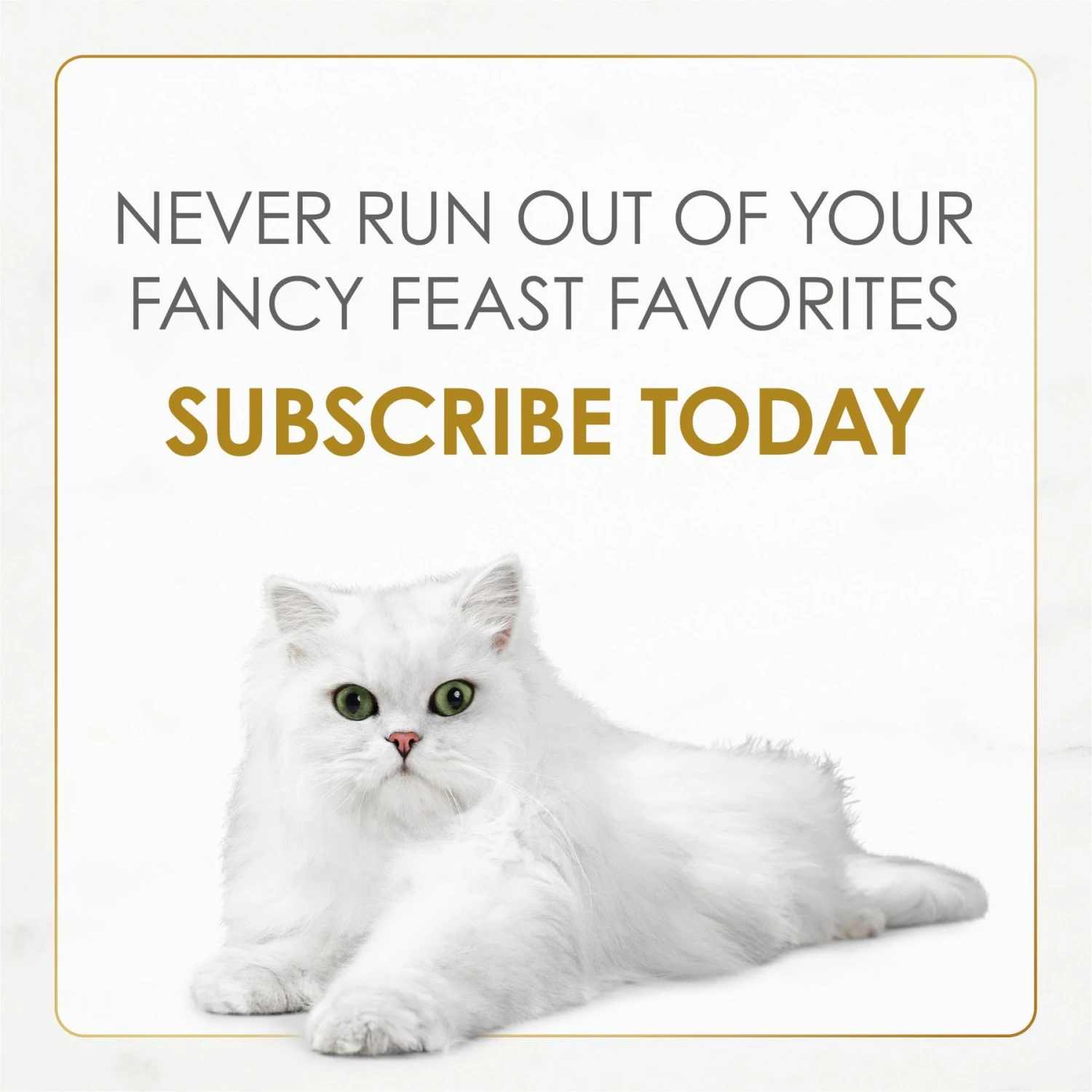 Fancy Feast Gravy Lovers Beef Feast Gravy Canned Cat Food 10 Fancy Feast Gravy Lovers Beef Feast Gravy Canned Cat Food - Image 8