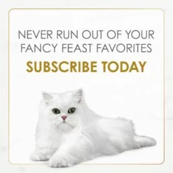 Fancy Feast Gravy Lovers Turkey Feast In Roasted Turkey Flavor Gravy Canned Cat Food -Meow Meals 75974 PT7. AC SS1800 V1695498157