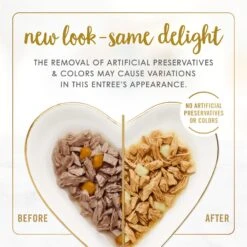 Fancy Feast Delights With Cheddar Grilled Variety Pack Canned Cat Food -Meow Meals 75992 PT1. AC SS1800 V1693929417