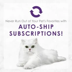 Fancy Feast Delights With Cheddar Grilled Variety Pack Canned Cat Food -Meow Meals 75992 PT8. AC SS1800 V1693928311