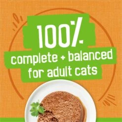 Friskies Classic Pate Liver & Chicken Dinner Canned Cat Food -Meow Meals 76184 PT4. AC SS1800 V1700159540