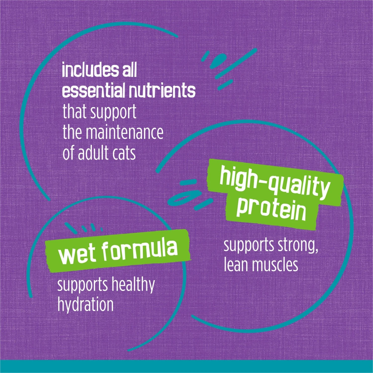 Friskies Tasty Treasures Pate Liver, Turkey & Chicken Wet Cat Food 10 Friskies Tasty Treasures Pate Liver, Turkey & Chicken Wet Cat Food - Image 8