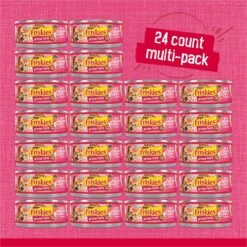 Friskies Prime Filets With Salmon & Beef In Sauce Canned Cat Food -Meow Meals 76397 PT2. AC SS1800 V1700156812