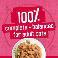 Friskies Prime Filets With Salmon & Beef In Sauce Canned Cat Food -Meow Meals 76397 PT5. AC SS1800 V1700156847