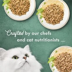 Fancy Feast Medleys Shredded Fare Collection Pack Canned Cat Food -Meow Meals 76517 PT4. AC SS1800 V1666839052