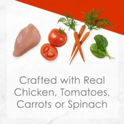 Fancy Feast Medleys White Meat Chicken Recipe Variety Collection Pack Canned Cat Food -Meow Meals 76526 PT5. AC SS1800 V1678292190