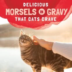 Natural Balance Platefulls Salmon, Tuna & Crab Formula In Gravy Grain-Free Cat Food Pouches -Meow Meals 76552 PT7. AC SS1800 V1677513850