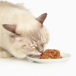 Catit Dinner Chicken With Duck & Potato Cat Wet Food, 2.8-oz Can -Meow Meals 781758 PT1. AC SS1800 V1677076933