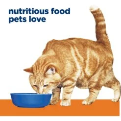 Hill's Prescription Diet C/d Multicare Urinary Care Vegetable, Tuna & Rice Stew Wet Cat Food 13 Hill's Prescription Diet C/d Multicare Urinary Care Vegetable, Tuna & Rice Stew Wet Cat Food -Meow Meals 80489 PT2. AC SS1800 V1657661030