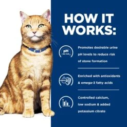 Hill's Prescription Diet C/d Multicare Urinary Care Vegetable, Tuna & Rice Stew Wet Cat Food 16 Hill's Prescription Diet C/d Multicare Urinary Care Vegetable, Tuna & Rice Stew Wet Cat Food -Meow Meals 80489 PT5. AC SS1800 V1657661030