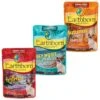 Earthborn Holistic Autumn Tide Tuna Dinner With Pumpkin In Gravy Grain-Free Cat Food + 2 Items -Meow Meals 822558 MAIN. AC SS1800 V1680643395