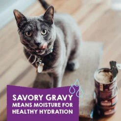 Stella & Chewy's Carnivore Cravings Purrfect Pate Variety Pack Cat Food, 2.8-oz Can, Case Of 12 -Meow Meals 826078 PT4. AC SS1800 V1683553354