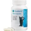 Duralactin Feline Capsules Cat Supplement 1 Duralactin Feline Capsules Cat Supplement -Meow Meals 83107. AC SS1800 V1449083778