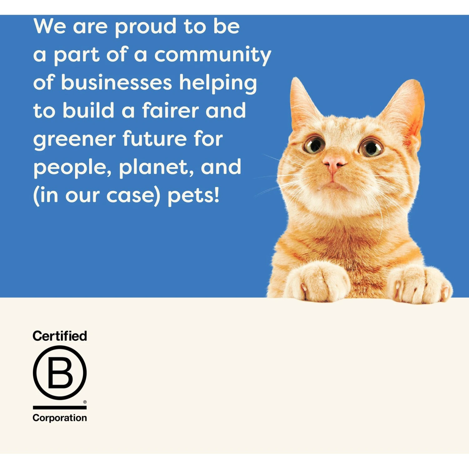 Applaws Tuna Fillet In Gravy Limited Ingredient Canned Wet Cat Food, 2.47-oz Can, Case Of 24 9 Applaws Tuna Fillet In Gravy Limited Ingredient Canned Wet Cat Food, 2.47-oz Can, Case Of 24 - Image 7