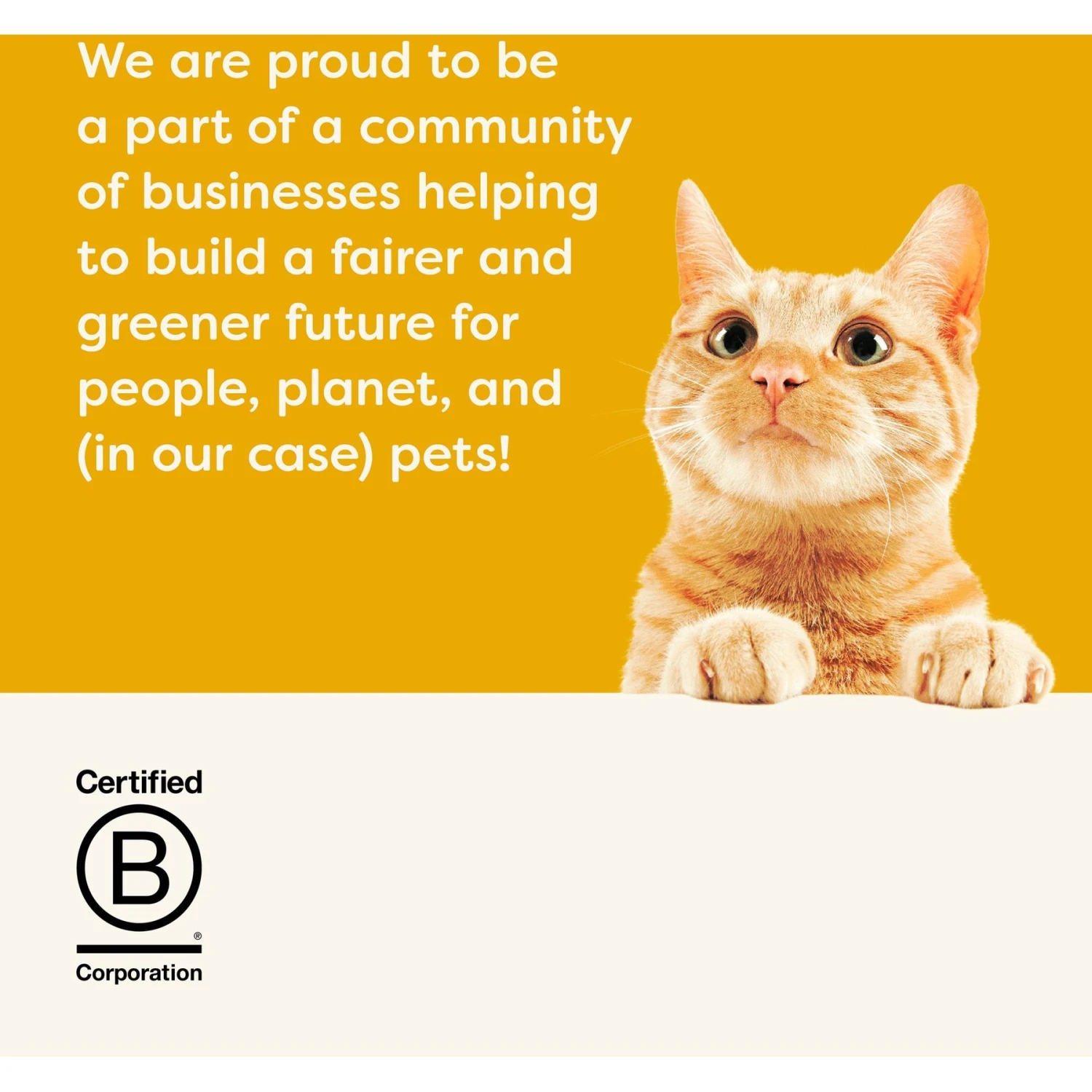 Applaws Chicken In Broth Limited Ingredient Wet Cat Food, 5.3-oz Pouch, Case Of 12 9 Applaws Chicken In Broth Limited Ingredient Wet Cat Food, 5.3-oz Pouch, Case Of 12 - Image 7