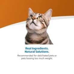 Farmina Vet Life Recoup Recipe Wet Cat Food, 3-oz Can, Case Of 12 12 Farmina Vet Life Recoup Recipe Wet Cat Food, 3-oz Can, Case Of 12 -Meow Meals 838182 PT3. AC SS1800 V1703880350