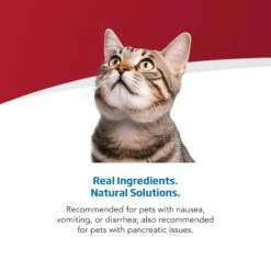Farmina Vet Life Cat Gastrointestinal Recipe Wet Cat Food -Meow Meals 838198 PT3. AC SS1800 V1703880289