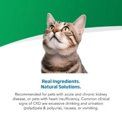 Farmina Vet Life Cat Renal Recipe In Gravy Wet Cat Food 12 Farmina Vet Life Cat Renal Recipe In Gravy Wet Cat Food -Meow Meals 838214 PT3. AC SS1800 V1703880289