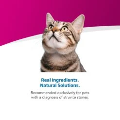 Farmina Vet Life Cat Urinary St/Control Recipe In Gravy Wet Cat Food -Meow Meals 838230 PT3. AC SS1800 V1703880290