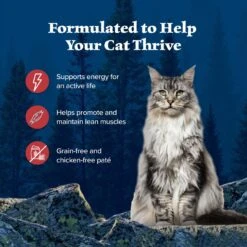 Blue Buffalo Wilderness Rocky Mountain Recipe Flaked Red Meat Feast Adult Grain-Free Canned Cat Food -Meow Meals 84211 PT3. AC SS1800 V1646793385