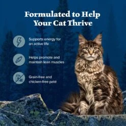 Blue Buffalo Wilderness Rocky Mountain Recipe Flaked Trout Feast Adult Grain-Free Canned Cat Food -Meow Meals 84214 PT3. AC SS1800 V1604369291