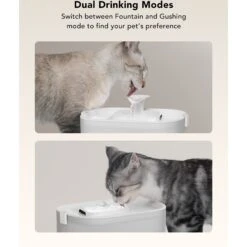 Petlibro Dockstream Wireless Pump Cat Water Fountain -Meow Meals 842438 PT5. AC SS1800 V1684348675