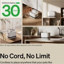 Petlibro Dockstream Battery Operated Cat Water Fountain -Meow Meals 842454 PT3. AC SS1800 V1684348306