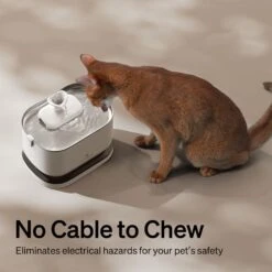 Petlibro Dockstream Battery Operated Cat Water Fountain -Meow Meals 842454 PT6. AC SS1800 V1684348365