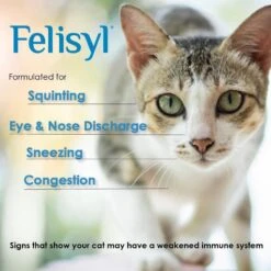 Felisyl Immune System Support For Cats -Meow Meals 84797 PT2. AC SS1800 V1680613715