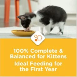 Kitten Chow Nurture Muscle & Brain Development Dry Cat Food & Fancy Feast Tender Feast Variety Pack Canned Kitten Food -Meow Meals 854286 PT8. AC SS1800 V1683743522