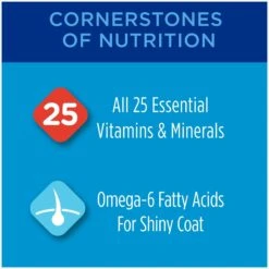 Purina Friskies Seafood & Chicken Pate Favorites Variety Pack Wet Cat Food, 5.5-oz Can, Case Of 40 & Cat Chow Complete With Chicken & Vitamins Dry Cat Food -Meow Meals 854310 PT7. AC SS1800 V1683744273