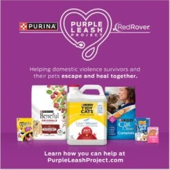 Purina Friskies Seafood & Chicken Pate Favorites Variety Pack Wet Cat Food, 5.5-oz Can, Case Of 40 & Purina Cat Chow Naturals Original With Added Vitamins, Minerals & Nutrients Dry Cat Food -Meow Meals 854326 PT7. AC SS1800 V1683744202