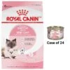 Royal Canin Feline Health Nutrition Mother & Babycat Dry Cat Food & Royal Canin Feline Health Nutrition Mother & Babycat Ultra Soft Mousse In Sauce Canned Cat Food -Meow Meals 854358 MAIN. AC SS1800 V1683744279