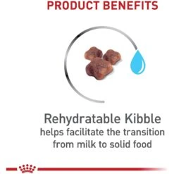 Royal Canin Feline Health Nutrition Mother & Babycat Dry Cat Food & Royal Canin Feline Health Nutrition Mother & Babycat Ultra Soft Mousse In Sauce Canned Cat Food -Meow Meals 854358 PT4. AC SS1800 V1683744317