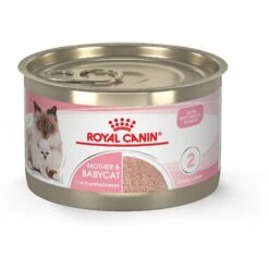 Royal Canin Feline Health Nutrition Mother & Babycat Dry Cat Food & Royal Canin Feline Health Nutrition Mother & Babycat Ultra Soft Mousse In Sauce Canned Cat Food -Meow Meals 854358 PT5. AC SS1800 V1683744315