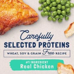 Natural Balance Limited Ingredient Chicken & Green Pea Recipe Wet Cat Food 13 Natural Balance Limited Ingredient Chicken & Green Pea Recipe Wet Cat Food -Meow Meals 86324 PT4. AC SS1800 V1670596541