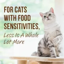 Merrick Limited Ingredient Diet Grain-Free Real Salmon Pate Recipe Canned Cat Food -Meow Meals 87837 PT6. AC SS1800 V1696265652