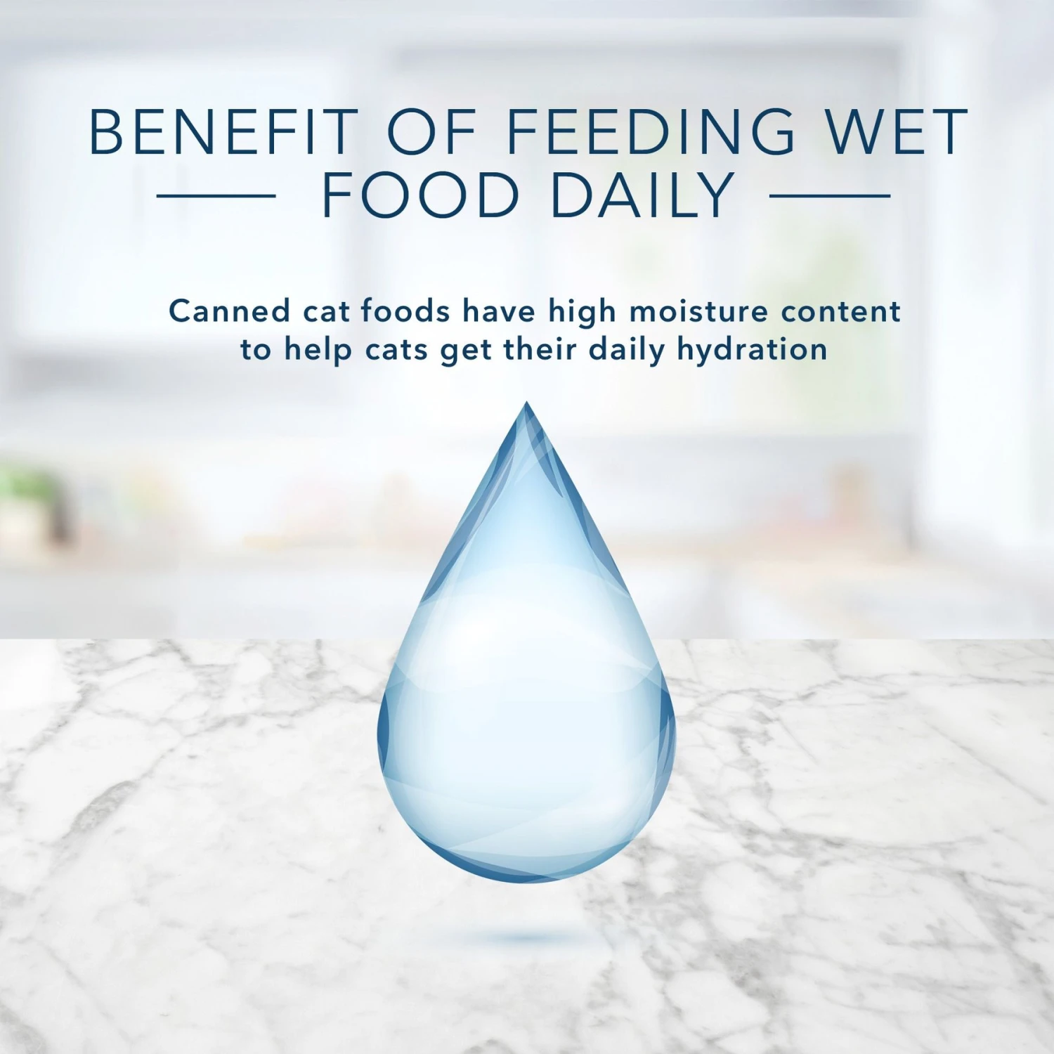 Blue Buffalo Tastefuls Natural Flaked Tuna Entree In Gravy Wet Cat Food, 5.5-oz Can, Case Of 12 9 Blue Buffalo Tastefuls Natural Flaked Tuna Entree In Gravy Wet Cat Food, 5.5-oz Can, Case Of 12 - Image 7