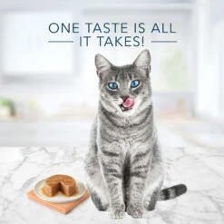 Blue Buffalo Tastefuls Natural Pate Turkey & Chicken Entree Wet Cat Food, 3-oz Can, Case Of 12 -Meow Meals 879326 PT3. AC SS1800 V1687358056